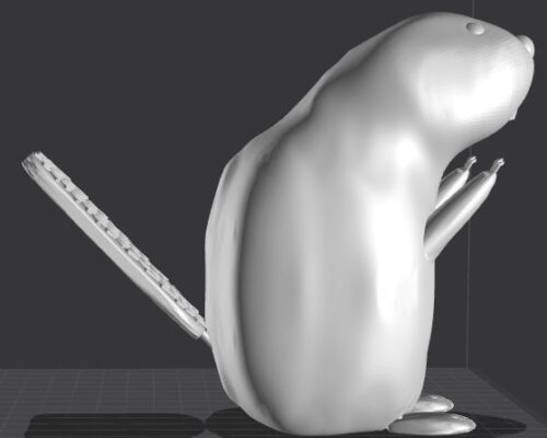 Бобр — изображение 4